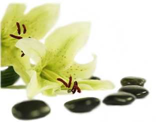 Blume